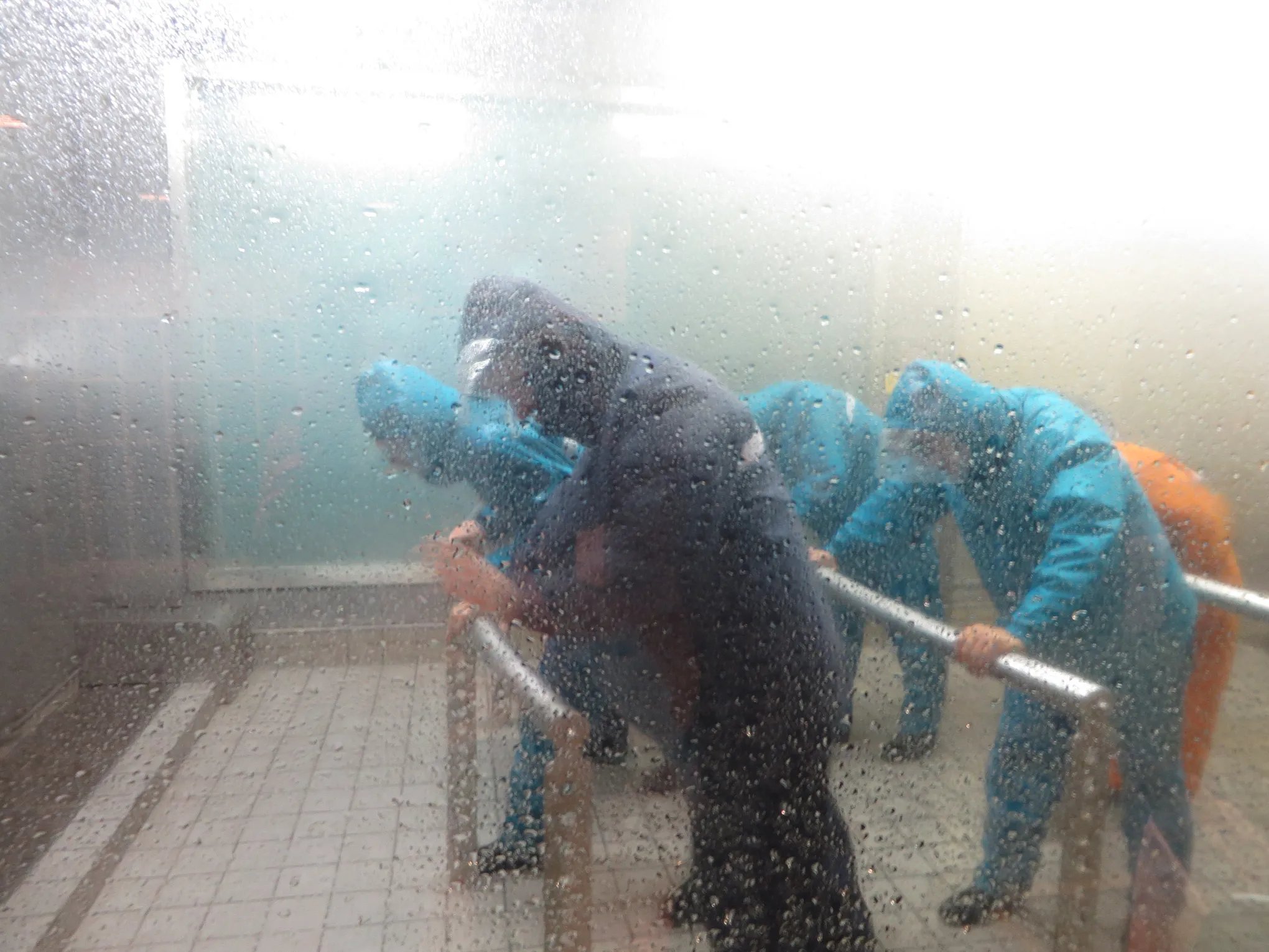 🌳 니시가하라 모두의 공원(니시가하라 민나노 코엔) 이미지 6